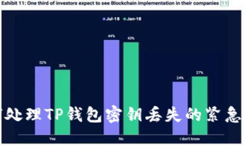 如何处理TP钱包密钥丢失的紧急指南