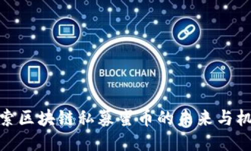 探索区块链私募蜜币的未来与机遇